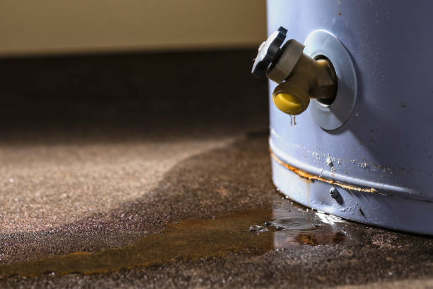 Best Local water damage restoration  in South Les, AK