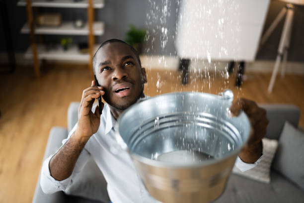 Best Mold removal after water damage  in South Les, AK