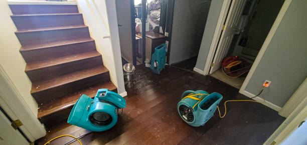 Best Flooded house restoration  in South Les, AK