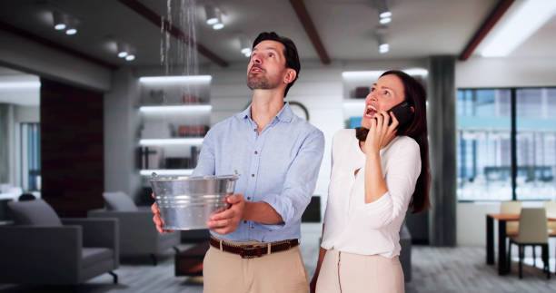 Best 24/7 water damage repair  in South Les, AK